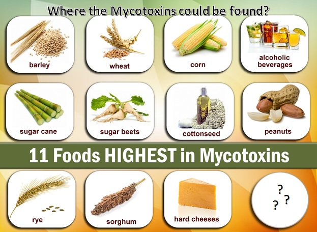 Where the Mycotoxins could be found? Here is a short lost of some of the foods that may contain them.